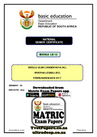 IsiZulu HL P2 Feb-March 2017.pdf